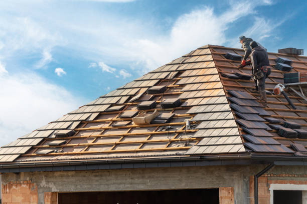 Roof Moss and Algae Removal in Sanger, CA